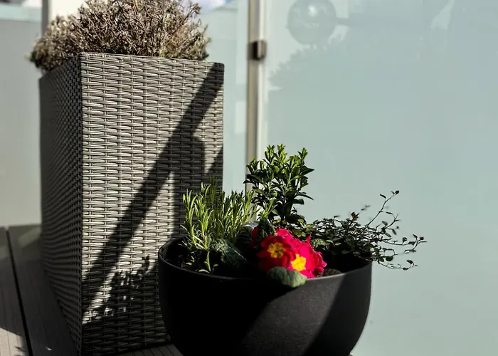 Entspannen Am - Cozy